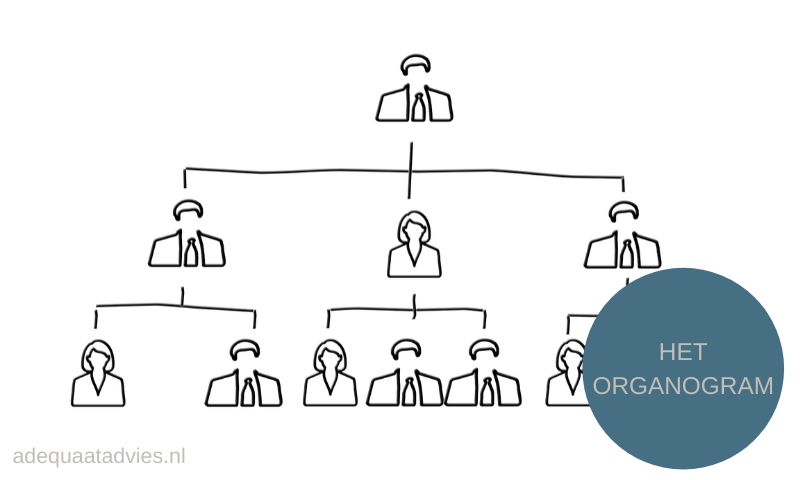 Het organogram